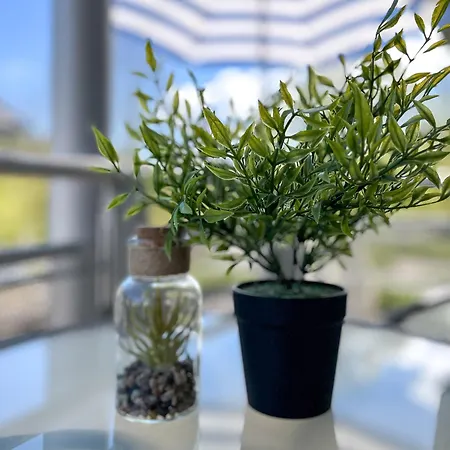 Residenz Seestern 54 شقة