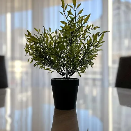 Residenz Seestern 54 شقة *