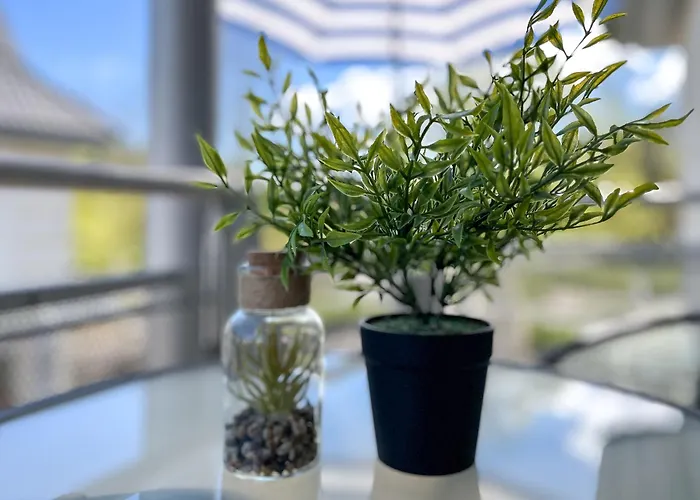 Residenz Seestern 54 Apartmán