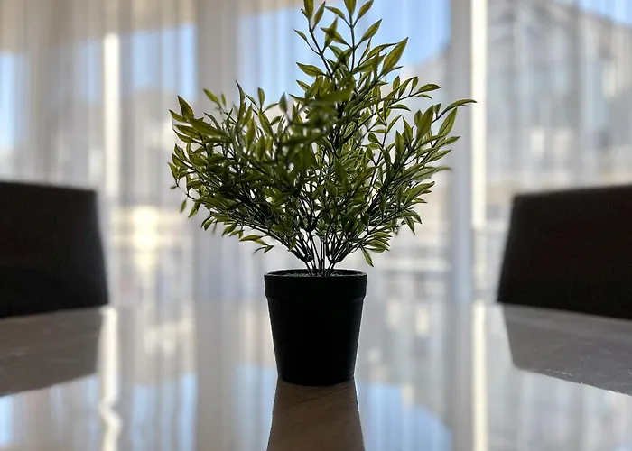 Residenz Seestern 54 Apartmán *